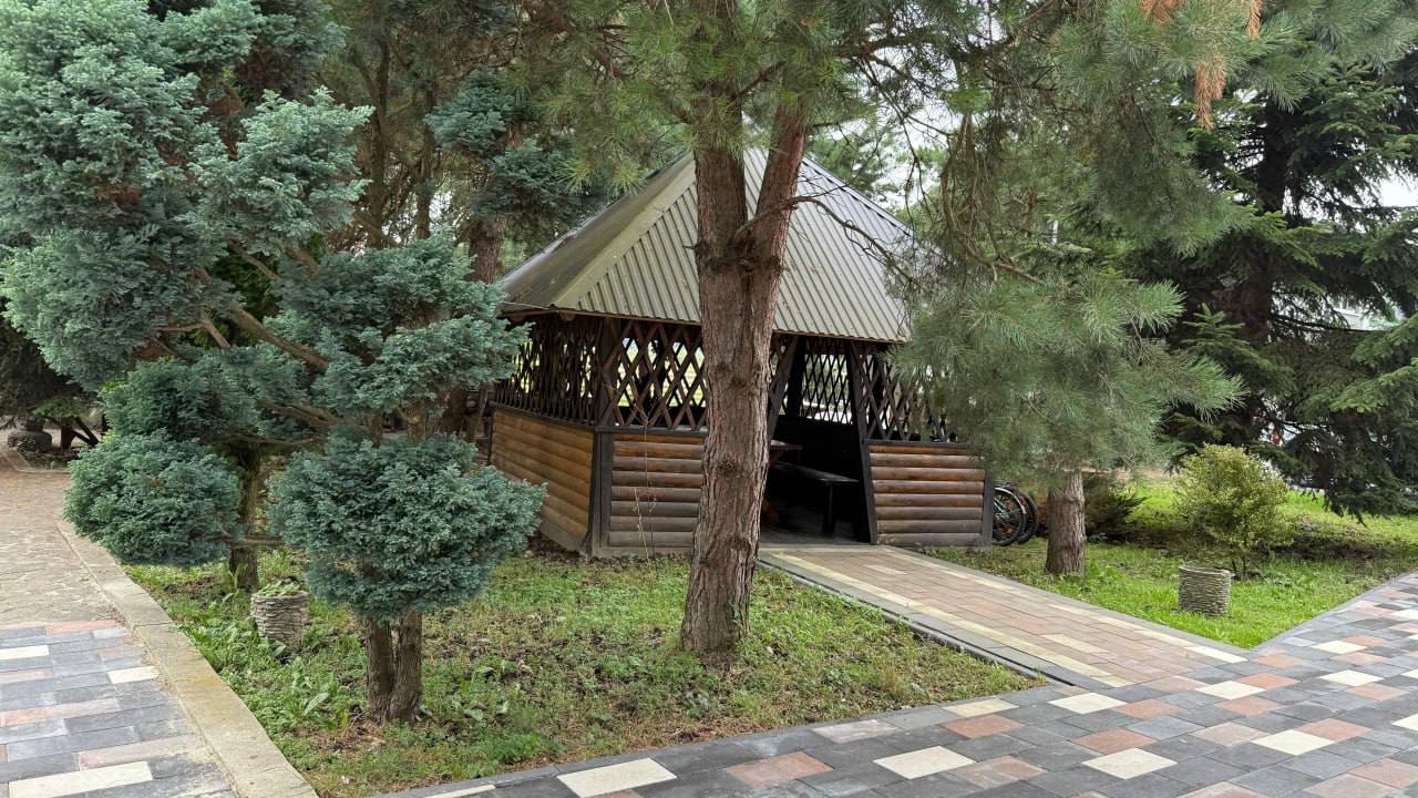 Альтанка серед карпатської зелені